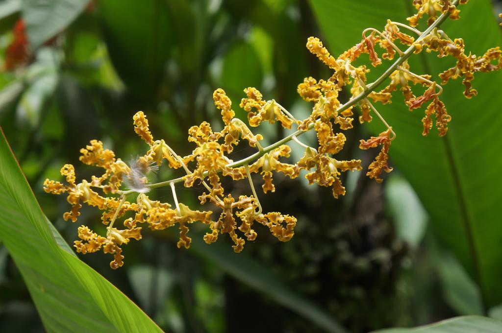 Raintree Lodge Port Moresby Luaran gambar